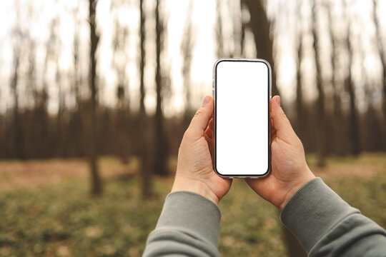 Hand holding phone with blank screen taking photo or selfie in the forest. There is no signal. The concept may relate to digital detox or business message