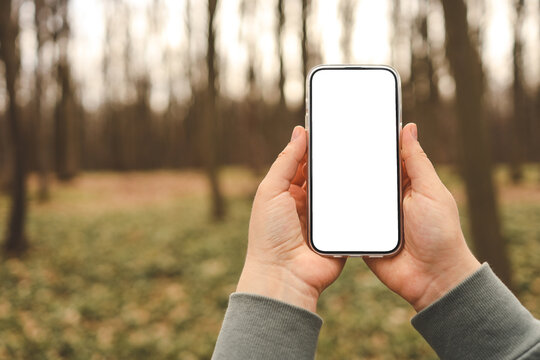Hand holding phone with blank screen taking photo or selfie in the forest. There is no signal. The concept may relate to digital detox or business message