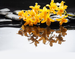 spa and zen concept ,branch yellow orchid, close up,with reflection  with black zen stones