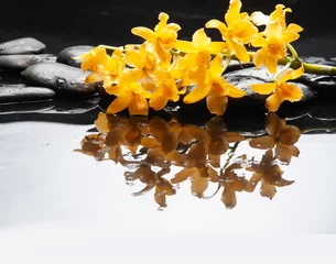 Schilderijen op glas spa and zen concept ,branch yellow orchid, close up,with reflection  with black zen stones © Mee Ting