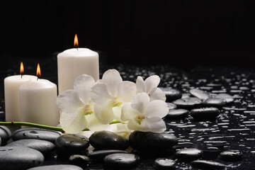 Spa still with white orchid, close up,candle with black zen stones, - 580548897