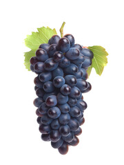 Bunch of grapes isolated on white background