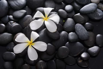  Two white plumeria flowers on the black stone background . Relax and spa treatment symbol © Mee Ting