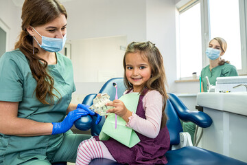 Children's dentist showing on artificial jaw  how to brush teeth