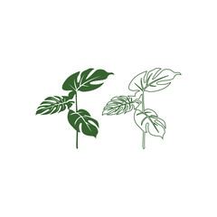 set of monstera leaves. The design of the Illustration of the vector Template of the Monstera Sheet Logo