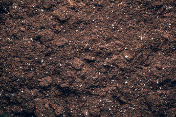 Textured fertile soil as background. Gardening and planting season