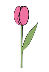 Continuous one line drawing of a tulip.