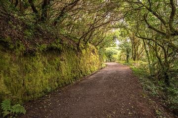 Mauer am Wanderweg nahe Mirador Cruz Del Carmen