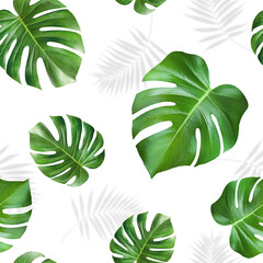 green monstera leaves on isolated white background, seamless pattern