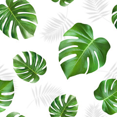 green monstera leaves on isolated white background, seamless pattern © Ирина Гутыряк