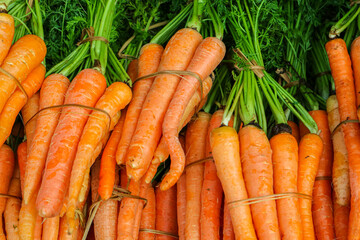 Fresh Carrots with its leaves stacked in the market.