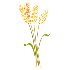 sheaf of cereal plant or grass, abstract colorful outline on white background