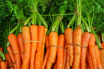 Fresh Carrots with its leaves stacked in the market.