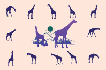 Set of vector silhouettes of giraffes, A giraffe animal silhouette Collection.
