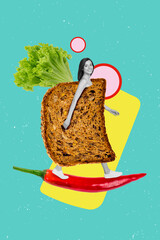 Photo collage artwork minimal picture of funny happy lady walking wear sandwich costume isolated drawing background
