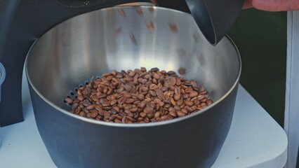 Freshly Roasted Craft Raw Coffee Beans in Metal Bowl