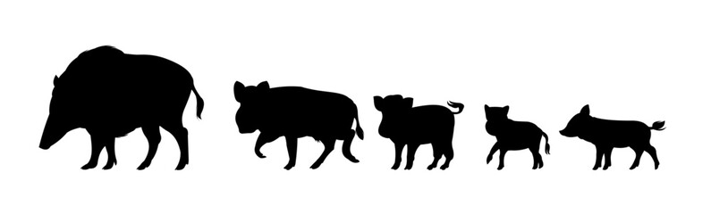 Wild boar family. Animal in natural habitat. Wild pig illustration. Isolated on white background. Vector.