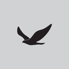 illustration of a bird