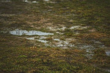 water puddles on the grass. gravel and clay can not absorb rainwater.