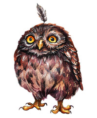 Funny little owl with a feather sticking out of its head. Watercolor drawing on a white background.
