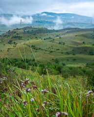 Landscape with mountains and fields with grass, flowers on a cloudy summer day after rain with a haze.