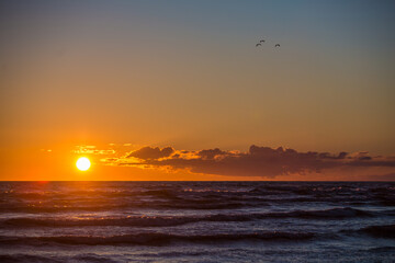 Beautiful orange sunset over sea with seagulls flying over and waves crashing the coast during summer evening