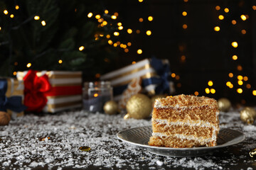 Concept of delicious sweet food - honey cake, space for text