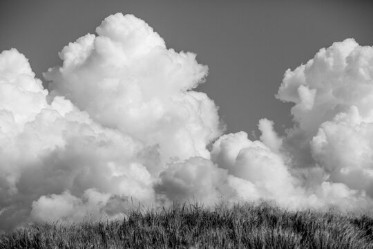 Black and white photo of sea side meadow with big clouds in background