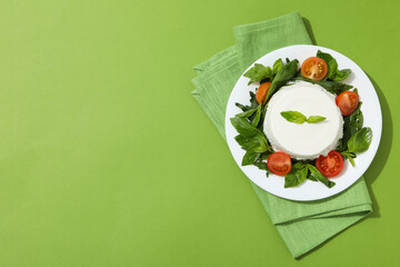 Concept of tasty dairy product - ricotta cheese, space for text