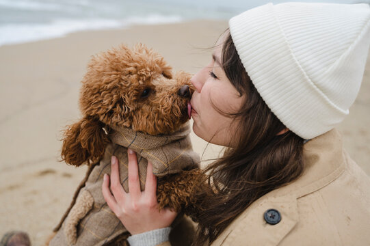 Maltipoo dog licking face of woman wearing knit hat at beach