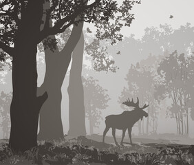 Vector illustration - landscape with elk, deciduous forest, black and white tones - 580568842
