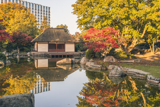 Germany, Hamburg, Pond and Japanese teahouse in Planten un Blomen park