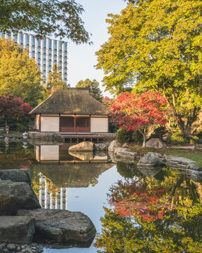 Germany, Hamburg, Pond and Japanese teahouse in Planten un Blomen park