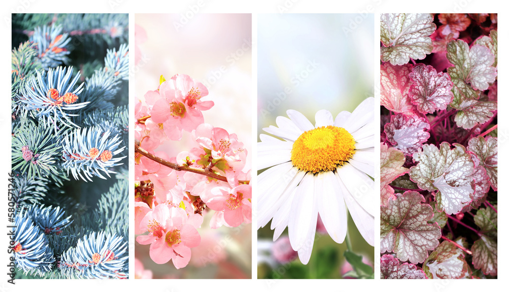 Wall mural four seasons of year. set of vertical nature banners with winter, spring, summer and autumn scenes