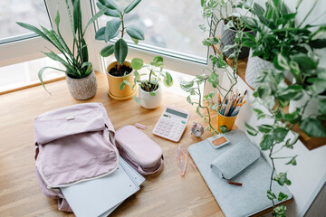 School supplies with potted plants on table at home