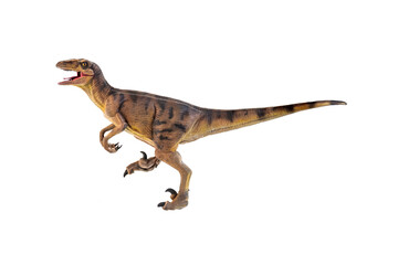 dinosaur , Velociraptor  isolated background