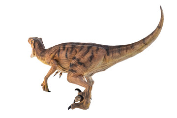 dinosaur , Velociraptor  isolated background