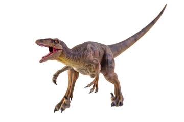 Foto op Aluminium dinosaur , Velociraptor  isolated background © meen_na