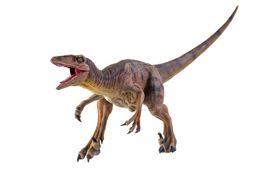 Fototapeta dinosaur , Velociraptor  isolated background