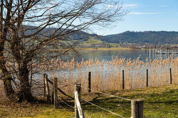 Obraz premium Lake promenade at the Aegerisee in Switzerland