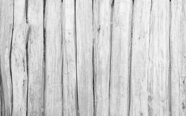 Fototapeta na wymiar Wood plank white timber texture background. Old wooden wall painted weathered hardwood.