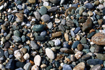 Rocky beach. Wet sea stones on the seashore.