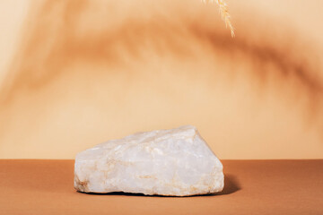 Stone podium for cosmetics or perfume and pampas grass decoration with shadows. Mockup