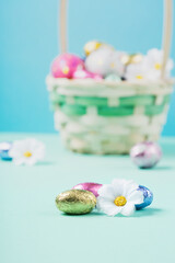 Easter Basket, Sweet Colorful Chocolate Easter Eggs, Daisy Flowers on Pastel Blue Mint Background.