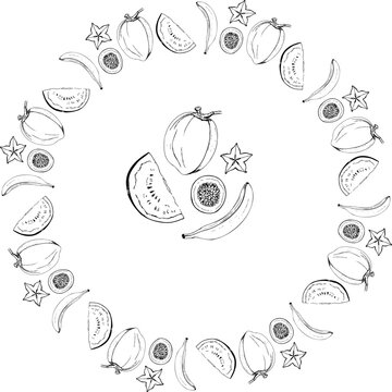Black and white tropical fruit vector wreath isolated on a white background.