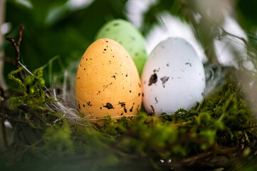 bird  nest with colored Easter eggs on branches of green trees, easter decoration, selective focus