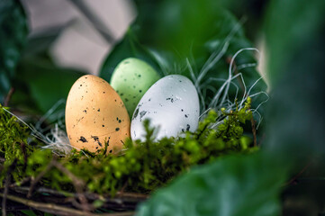 bird  nest with colored Easter eggs on branches of green trees, easter decoration, selective focus