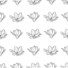 Seamless pattern with magnolia flowers bud in black on white background. Hand drawn vector sketch illustration in doodle engraved vintage outline style. Floral, botanical texture, textile, spring.