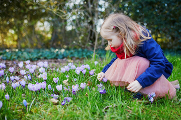 Adorable girl with purple crocuses