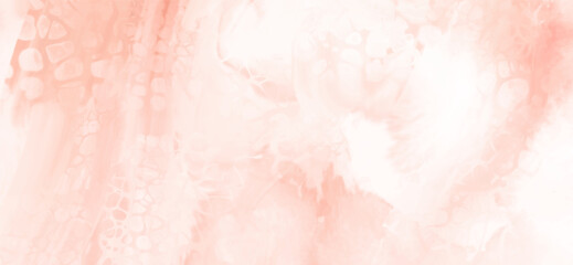 Abstract Pink Coral paint Background. Vector illustration design